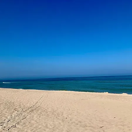 Slawomir Polikowski Agro-pol * Mrzeżyno