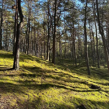 Appartement Slawomir Polikowski Agro-pol *