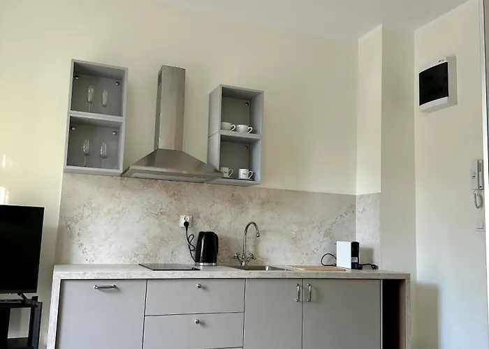 Slawomir Polikowski Agro-pol