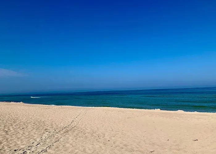 Slawomir Polikowski Agro-pol * Mrzeżyno