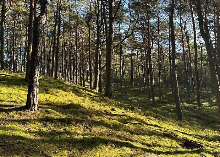 Διαμέρισμα Slawomir Polikowski Agro-pol *